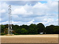 Pylon in field of stubble