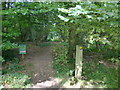 Footpath marker just inside Closedown Wood