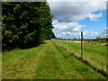 Footpath going northwards on the eastern edge of Closedown Wood