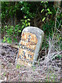 Milestone between Odiham and Alton on the B3349