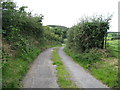 Ballysallagh Road with the wooded Struell Hill in the background