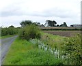 The lane to Whinney Hill