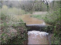 SO7488 : Outflow, Mill Pool by Richard Webb