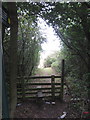 Path to Sence Valley Forest Park