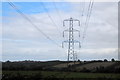 Pylons in the farm