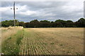 Path into Donington le Heath