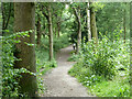 Public footpath in Spring Park woods