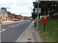 TM1342 : Belmont Road & 2 Sycamore Close Postbox by Geographer