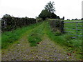 H6355 : A grassy lane, Tullywinny by Kenneth  Allen