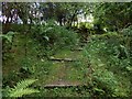 Path to the Greenock Cut