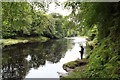 River Ayr near Mauchline