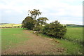 NS3111 : Farmland near Nether Culzean by Billy McCrorie