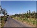 Country road for Butterlaw Farm