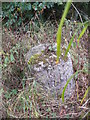 Concrete feature beside a minor road