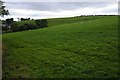 Farmland above Coed Dolau