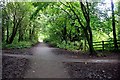 Footpath crossing the Sett Valley Trail