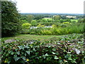 View from the Greensand Way