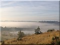 Silverdale Country Park with sun on low-lying fog