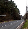 Road from Hawkwell to Monmouth