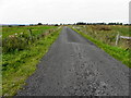 H1885 : Garvaghblane Road, Garvagh Blane by Kenneth  Allen
