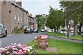 Village green, Town Yetholm