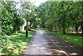 Cycle track, Holland Park