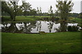 TA2205 : Lake at Laceby Manor Golf Course by Ian S