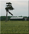 Farmland near Averham