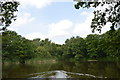 Sandbach Flashes: The Moat aka Fodens Flash