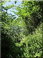 Footpath at Geese Quarries