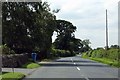 Longmoor Lane heading towards Nateby