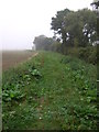 Bridleway beside the Catchwater Drain, Burton Bridge