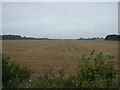 Farmland near RAF Scampton