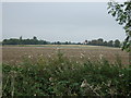 Farmland off Ashing Lane