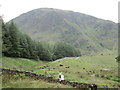NY4610 : Harter Fell, Mardale by Peter S