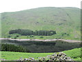 NY4711 : Mardale Head, Haweswater by Peter S