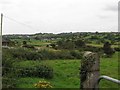 View SW across the flood plain of a tributary of the Cully Water