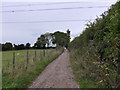 South Downs Way, Exton to Buriton (190b)