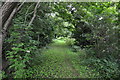 Bridgend : Grassy Path