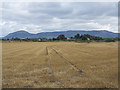 Farmland at Balado