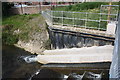 Gundry Weir fish and eel pass