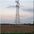 Pylon on arable land near Barnhall Road, Tolleshunt Knights