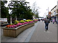 Floral display, Coleraine