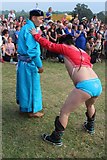 TQ8332 : Mongolian wrestling at Hole Park by Oast House Archive