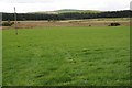 SH8465 : Upland grazing near Wenlli by Philip Halling