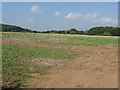 Field near Nupend Farm