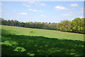 Field above Vann Lake