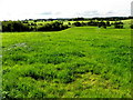 Ballynapottage Townland