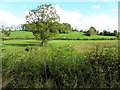 Derrymeen Townland