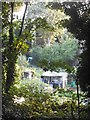 Allotments by Parkland Walk, Crouch End